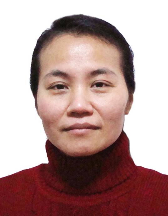 朱虹（华中科技大学教授，博士生导师）