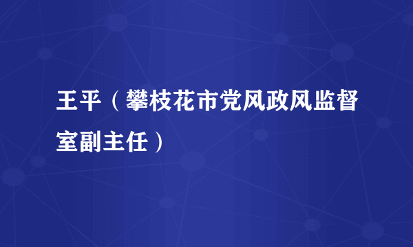 王平（攀枝花市党风政风监督室副主任）