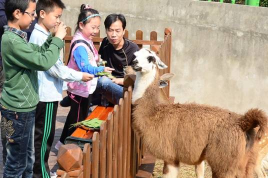 繁育（汉语词语）