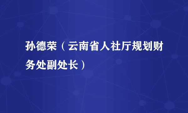 孙德荣（云南省人社厅规划财务处副处长）