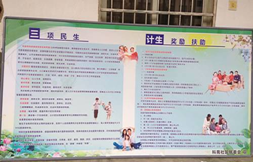 北京市计划生育奖励实施办法