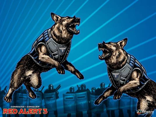 盟军警犬