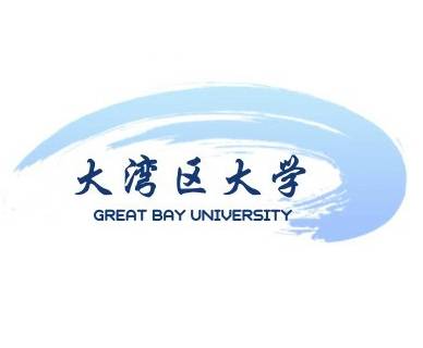 大湾区大学