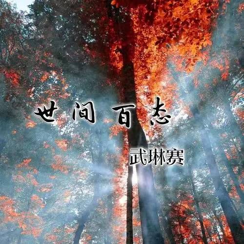 世间百态（武琳赛演唱歌曲）