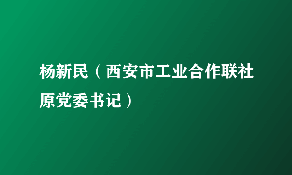 杨新民（西安市工业合作联社原党委书记）