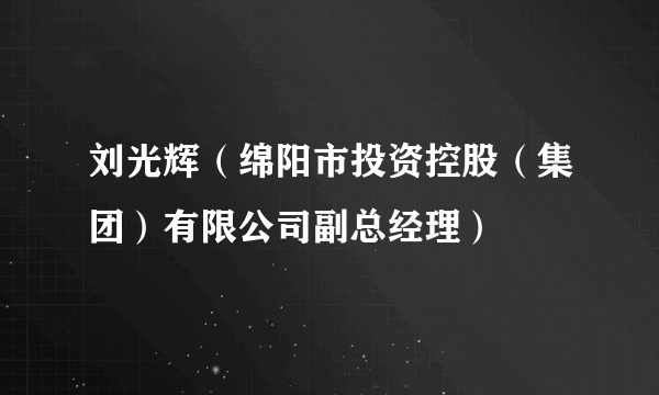 刘光辉（绵阳市投资控股（集团）有限公司副总经理）