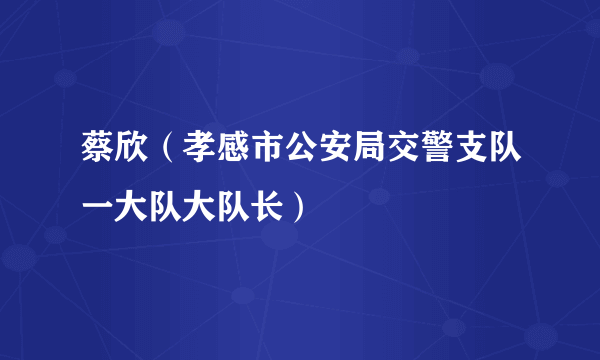 蔡欣（孝感市公安局交警支队一大队大队长）
