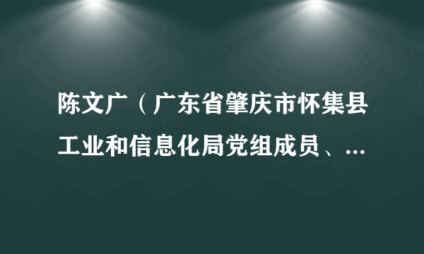 陈文广（广东省肇庆市怀集县工业和信息化局党组成员、总工程师）