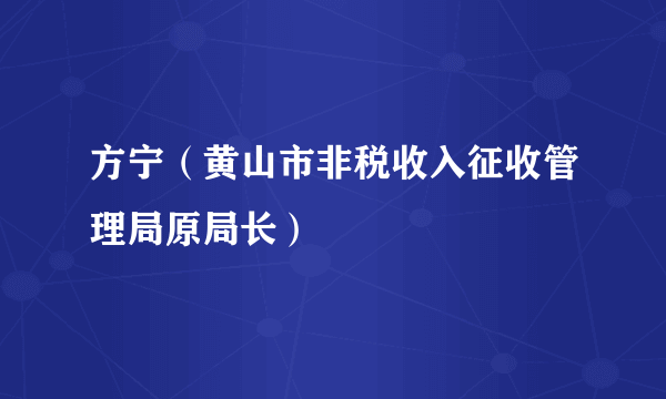 方宁（黄山市非税收入征收管理局原局长）