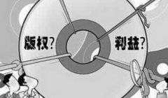 2015打击侵权盗版十大案件