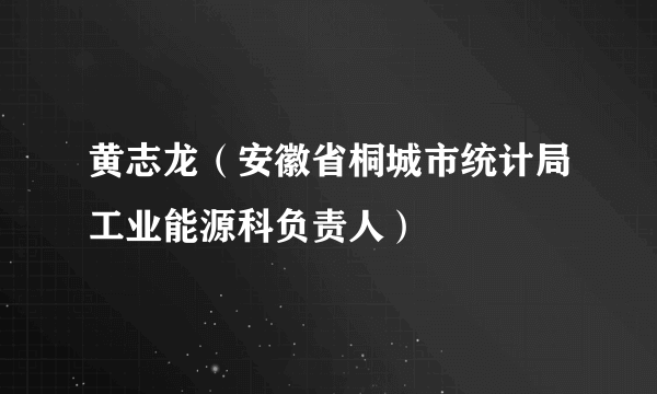 黄志龙（安徽省桐城市统计局工业能源科负责人）