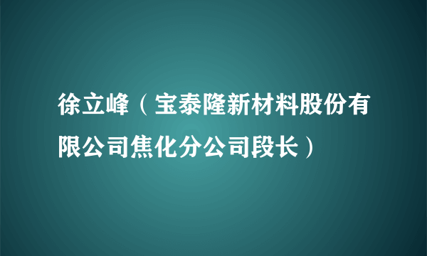 徐立峰（宝泰隆新材料股份有限公司焦化分公司段长）