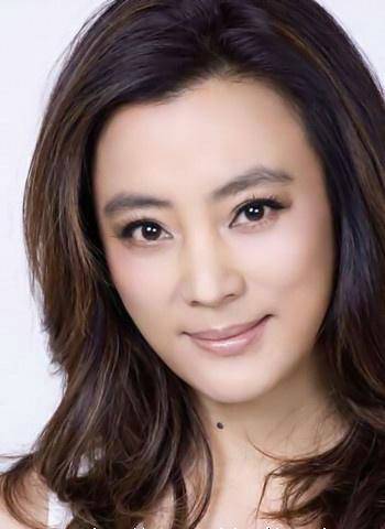不知不觉（李玲玉演唱歌曲）