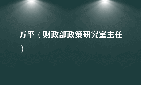 万平（财政部政策研究室主任）