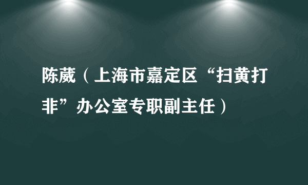 陈葳（上海市嘉定区“扫黄打非”办公室专职副主任）