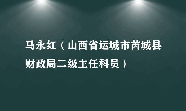 马永红（山西省运城市芮城县财政局二级主任科员）