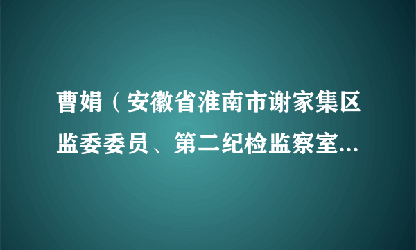 曹娟（安徽省淮南市谢家集区监委委员、第二纪检监察室主任、三级主任科员）