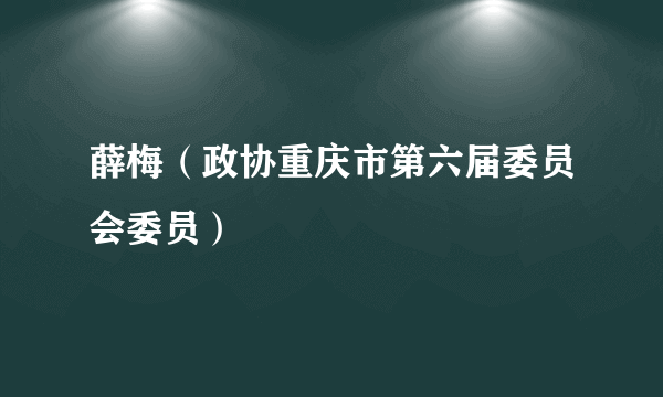 薛梅（政协重庆市第六届委员会委员）