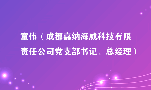 童伟（成都嘉纳海威科技有限责任公司党支部书记、总经理）