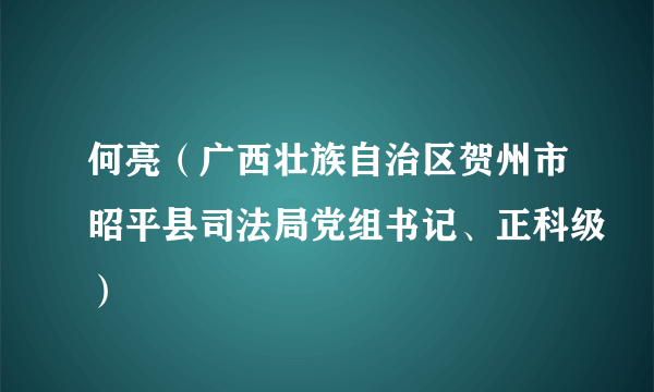 何亮（广西壮族自治区贺州市昭平县司法局党组书记、正科级）