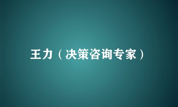 王力（决策咨询专家）