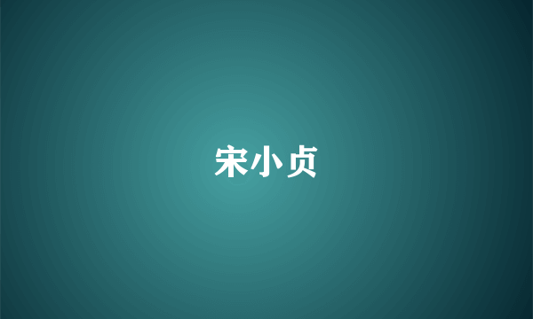 宋小贞