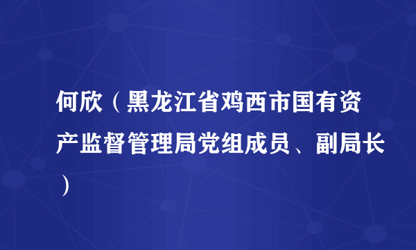 何欣（黑龙江省鸡西市国有资产监督管理局党组成员、副局长）