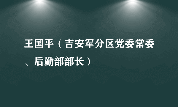 王国平（吉安军分区党委常委、后勤部部长）