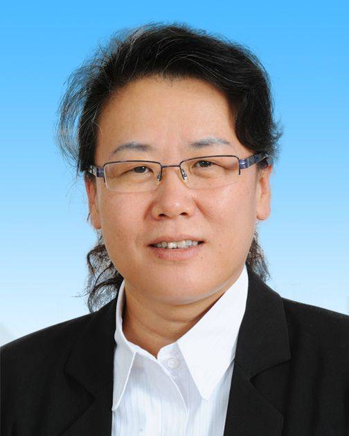 孙洪宇（北京市大兴区住建委党组成员、副主任）