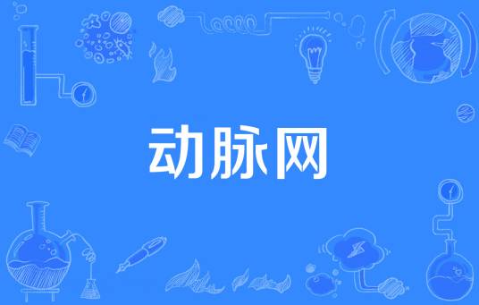 动脉网