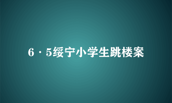 6·5绥宁小学生跳楼案