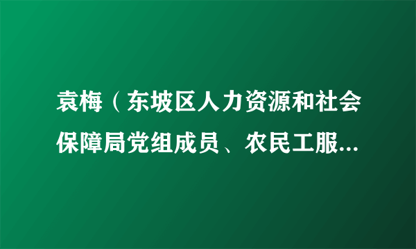 袁梅（东坡区人力资源和社会保障局党组成员、农民工服务中心主任）