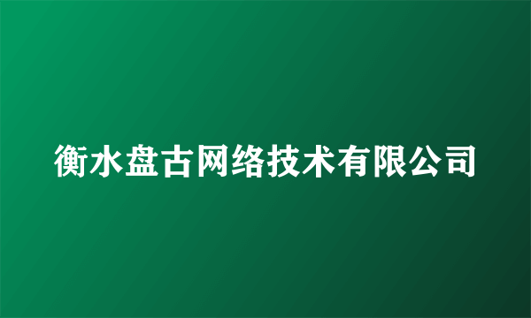 衡水盘古网络技术有限公司