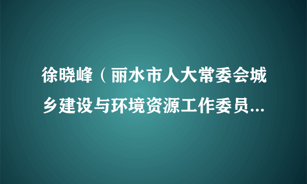 徐晓峰（丽水市人大常委会城乡建设与环境资源工作委员会原副主任）