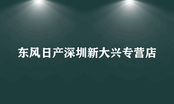 东风日产深圳新大兴专营店