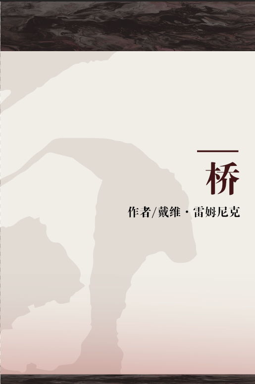 桥（2011年中信出版社出版的图书）