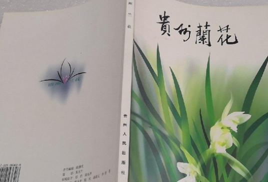 贵州兰花