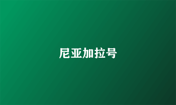 尼亚加拉号