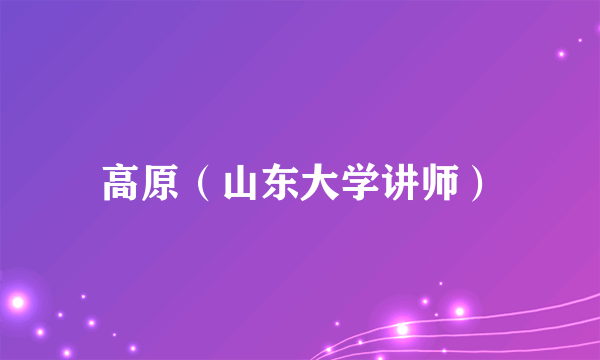高原（山东大学讲师）