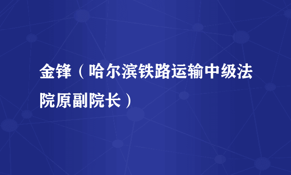 金锋（哈尔滨铁路运输中级法院原副院长）