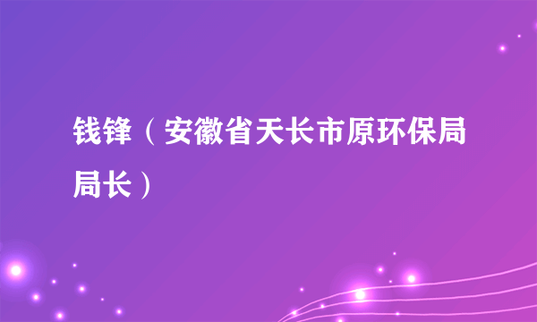 钱锋（安徽省天长市原环保局局长）