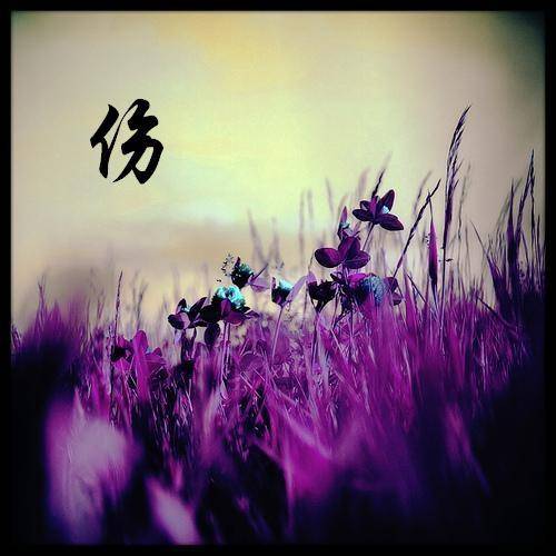 伤（网络歌曲）