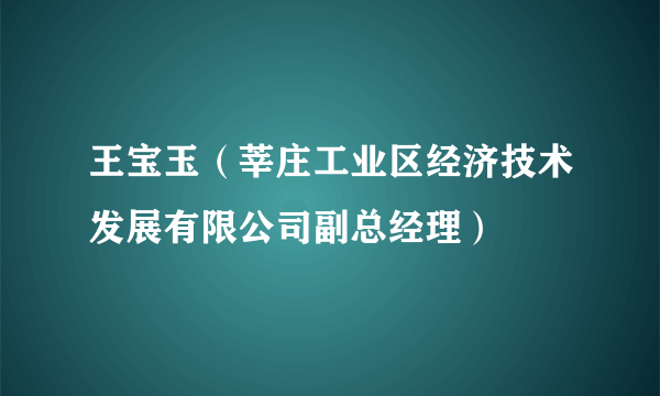 王宝玉（莘庄工业区经济技术发展有限公司副总经理）