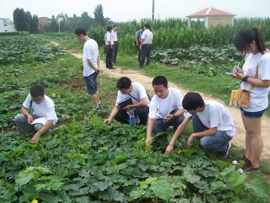 邓州市穰原农作物种植专业合作社