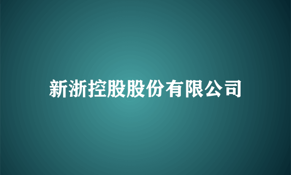 新浙控股股份有限公司