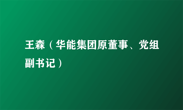 王森（华能集团原董事、党组副书记）