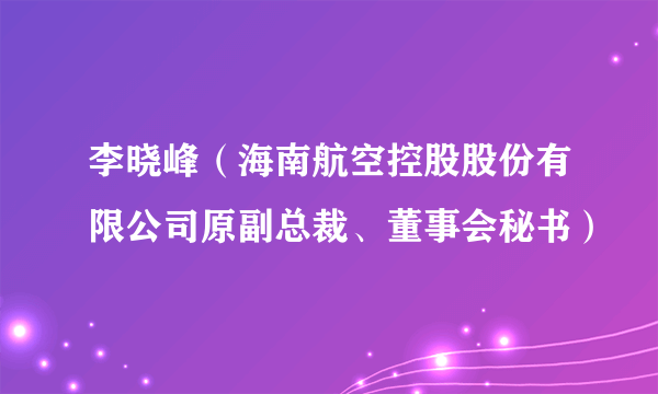 李晓峰（海南航空控股股份有限公司原副总裁、董事会秘书）