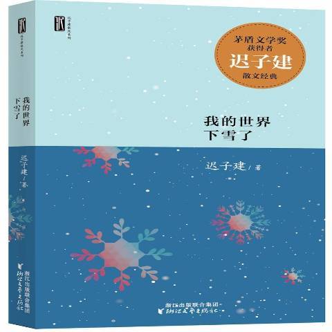 我的世界下雪了（2016年浙江文艺出版社出版的图书）