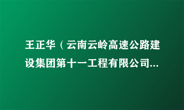 王正华（云南云岭高速公路建设集团第十一工程有限公司党委委员、总经理）
