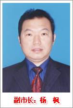 杨枫（吉林省四平市政协原主席）